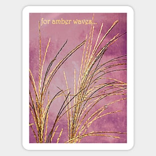 For Amber Waves Sticker